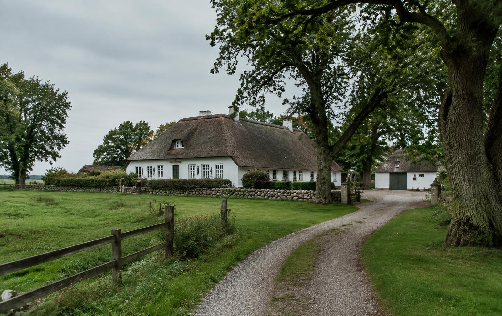 Hvidvasket landejendom med stråtag omgivet af græs og egetræer